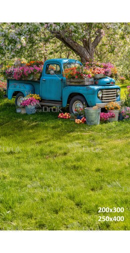 Tło fotograficzne „Turkusowy retro pickup w kwitnącym sadzie z jabłkami” | E_745